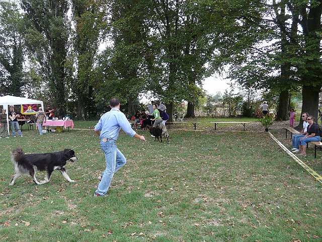 img 104.jpg